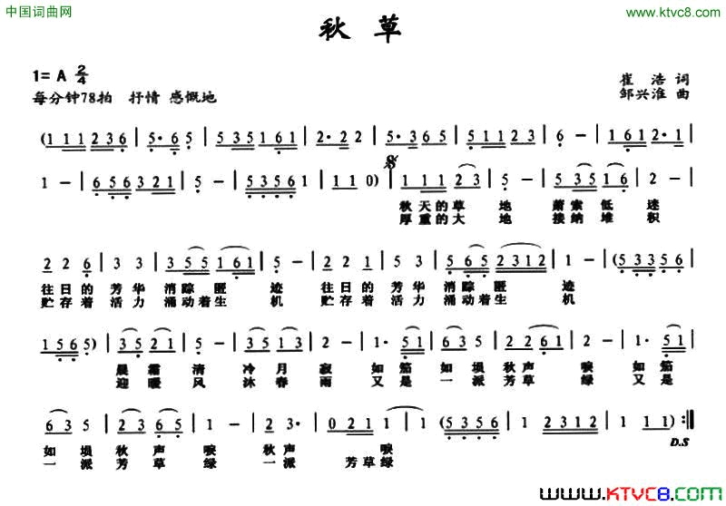 秋草简谱