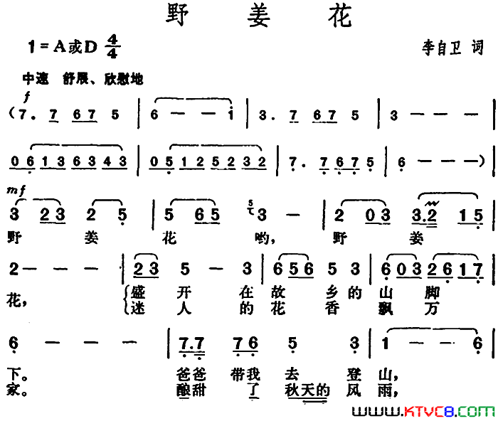 野姜花简谱