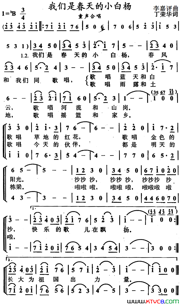 我们是春天的小白杨简谱