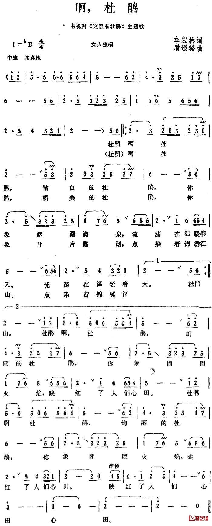 啊，杜鹃简谱-电视剧《这里有杜鹃》主题歌