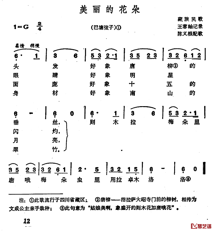 美丽的花朵简谱-巴塘弦子